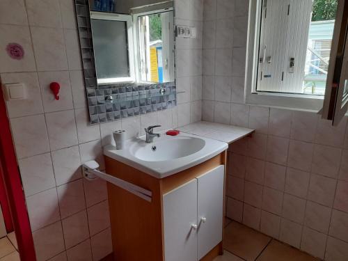 une salle de bain avec un lavabo et un miroir dans l'établissement la nature, à Plouha