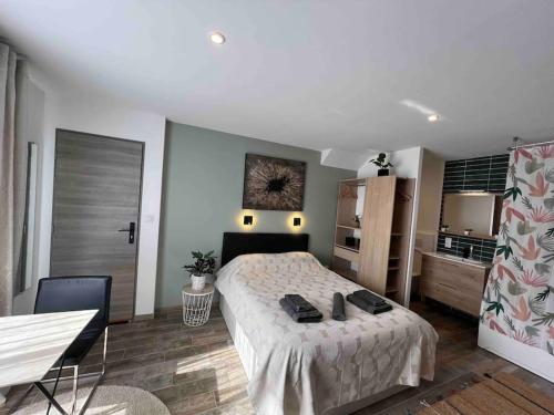 Un dormitorio con una cama grande en una habitación. en Cosy studio l'éclipse Balneo, en Tassin-la-Demi-Lune