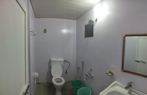 a bathroom with a toilet and a sink and a mirror at Ibex spangri cottage in Lukung