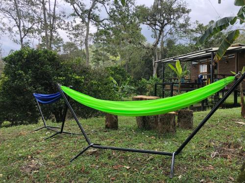 two hammocks in a yard with a house at Cabaña tipo glamping en finca cafetera con zonas verdes, avistamiento de aves, paisaje cafetero in San Francisco