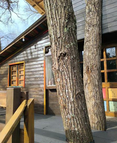 a tree in front of a wooden house at COEMBOTA Cabañas in Tigre