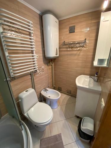 un baño con inodoro y lavabo en Затишний будиночок біля річки, en Krivorovnya