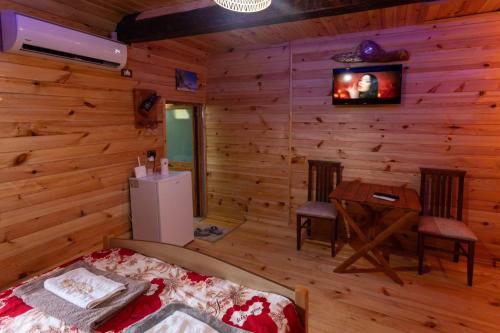 TV a/nebo společenská místnost v ubytování Guest House Castle