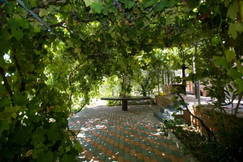 a picnic table sitting on a brick path with trees at Dapaj Luxury Residence in Vlorë