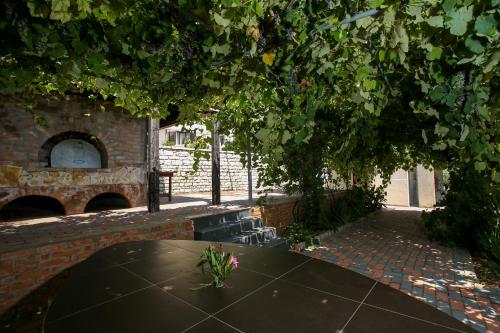 a table under a tree with a brick oven at Dapaj Luxury Residence in Vlorë