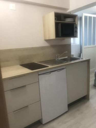 eine Küche mit Spüle und Mikrowelle in der Unterkunft Studio neuf dans maison avec vue sur la chaine des puys in Riom