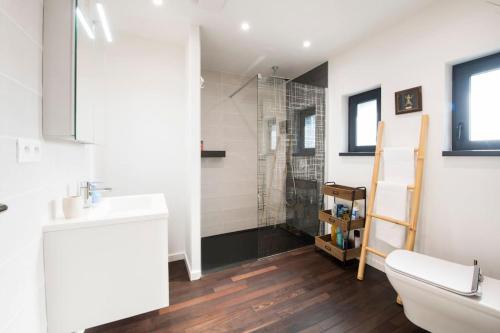 une salle de bain avec une douche, des toilettes et un lavabo dans l'établissement Maison contemporaine Mittelhausbergen, à Mittelhausbergen