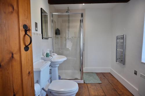 a bathroom with a shower and a toilet and a sink at The Cider House at Stathe Farm in Burrowbridge