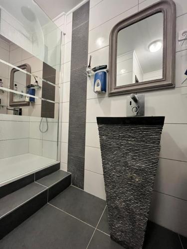 une salle de bain avec une douche, un lavabo et un miroir dans l'établissement Maison de famille dans la citadelle, à Montmédy