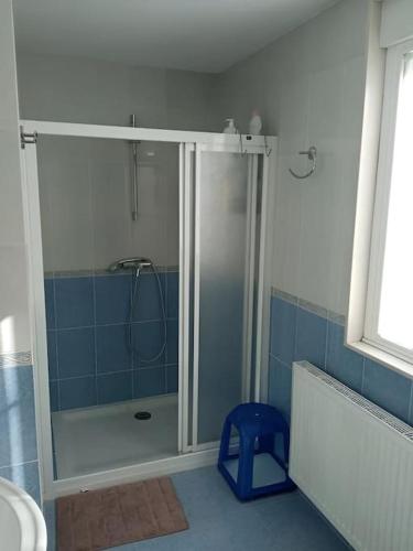 a bathroom with a shower with a glass door at Apartamento Lourenzo in Outes