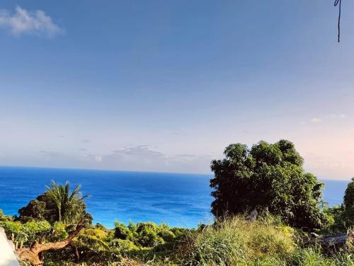 a view of the ocean from the top of a hill at Casa Beco do Céu in Fernando de Noronha