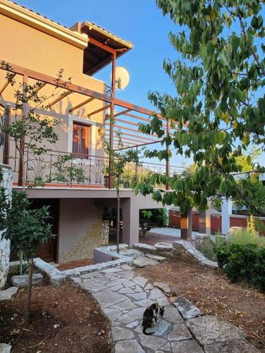 Zahrada ubytování Agrampeli Villa