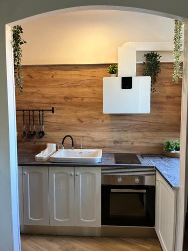 a kitchen with a sink and a wooden wall at Apartament de la Madrona 1st floor Easy street parking in Tarragona