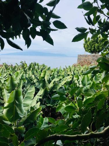 Φυσικό τοπίο κοντά σε αυτή η παραθεριστική κατοικία