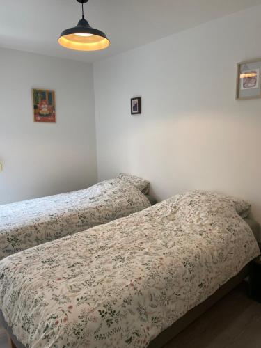 deux lits côte à côte dans une chambre dans l'établissement 2 pièce calme Strasbourg Cronenbourg 5min centre, à Strasbourg