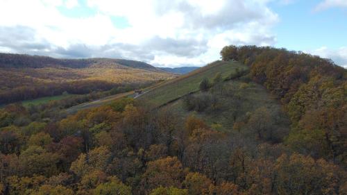 an aerial view of a hill with trees and a road at Pausenhof Zweite-Heimat in Rauhenebrach