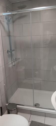 una ducha con puerta de cristal en un baño en Stylish Comfortable, en Wicklow