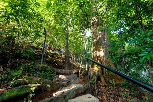 a set of stairs in a forest with trees at Trance rabara resort in Avissawella