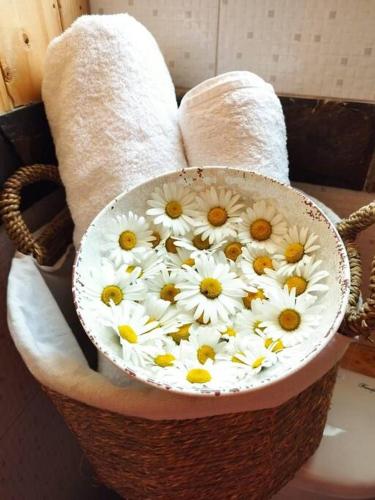 a basket filled with daisies sitting on a toilet at Cabaña Entre Arrayanes 3 habitaciones in Puerto Montt