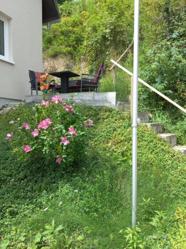 a garden with a bench and some pink flowers at Alpenblick Ferienwohnung und Monteurzimmer in Oberbuchsiten