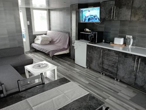 małą kuchnię i salon z kanapą w obiekcie Koncér úszóház w Abádszalók