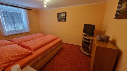 TV a/nebo společenská místnost v ubytování Ubytování Počátky Aparmán