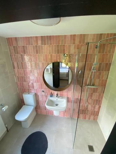 a bathroom with a toilet and a sink and a mirror at Westport Coastal Lodge in Westport