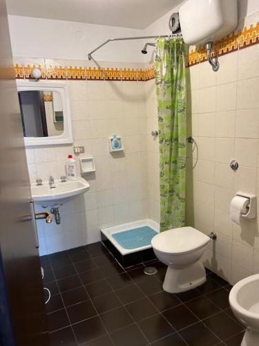 a bathroom with a toilet and a sink and a shower at Le Verande sulle piste in San Massimo