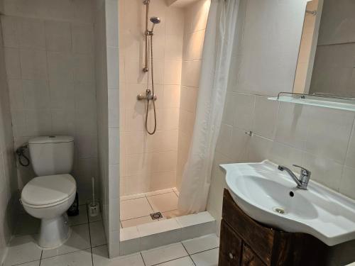 a bathroom with a toilet and a shower and a sink at Buglandia in Parośla