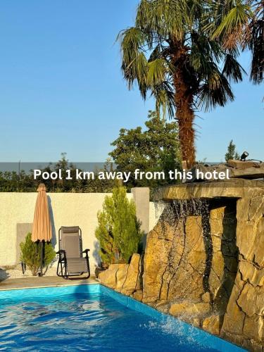 a pool i km away from a hotel with a palm tree at Central Kvareli in Kvareli