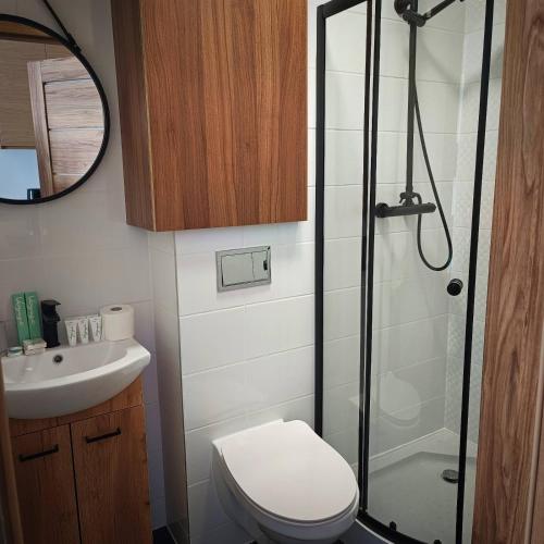 a bathroom with a shower and a toilet and a sink at MH Apartment in Rzeszów