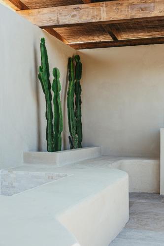 two cacti are sitting on a wall next to at Casa Ana Almancil in Almancil