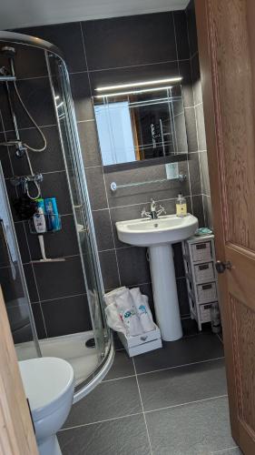 a bathroom with a sink and a shower and a toilet at Casa Ballycastle Town Centre in Ballycastle