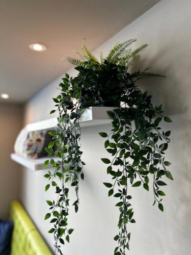 a plant in a white vase hanging from a wall at SleepySleepy Hotel Dillingen in Dillingen an der Donau