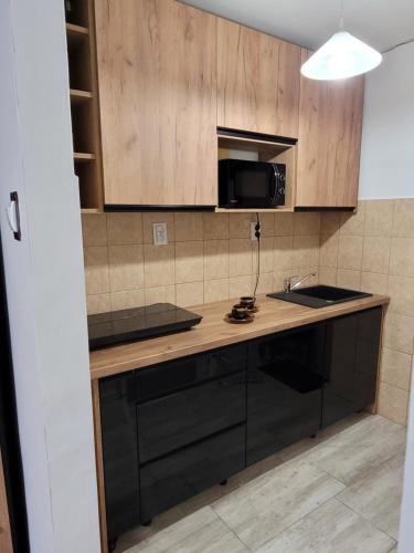 a kitchen with a counter with a microwave and a sink at Studio 47 in Płock