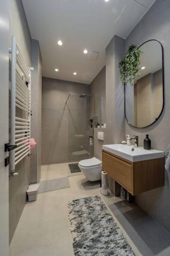 a bathroom with a sink and a toilet and a mirror at Rodman Belgrade Apartment in Novi Beograd