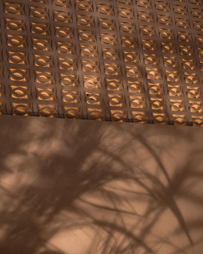 a shadow of a tree on a ceiling at AMÉNTE Mindful Stay in Plakias