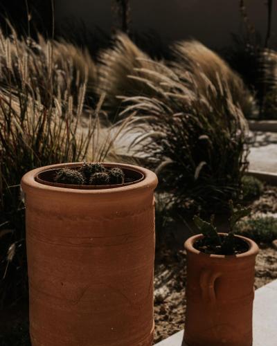 two large pots of plants in a garden at AMÉNTE Mindful Stay in Plakias