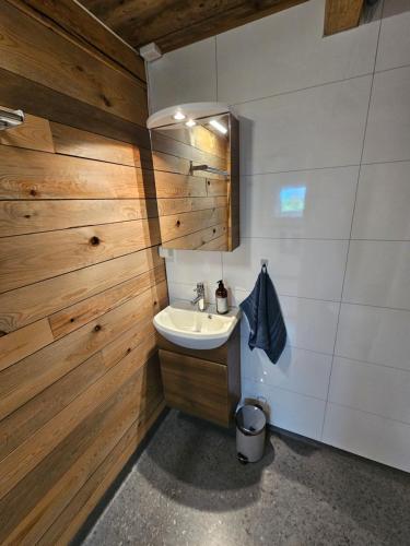 a bathroom with a sink and wooden walls at Sigurd's Tiny House in Vossevangen