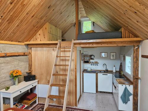 a tiny house with a ladder in a kitchen at Sigurd's Tiny House in Vossevangen