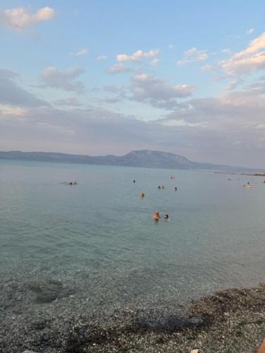 Φυσικό τοπίο κοντά σε αυτή η παραθεριστική κατοικία