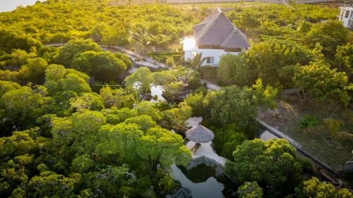 an aerial view of a house in a forest at Mkoko Villa in Fumba