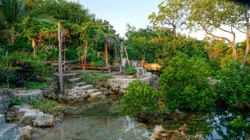 a garden with a pond and trees at Mkoko Villa in Fumba