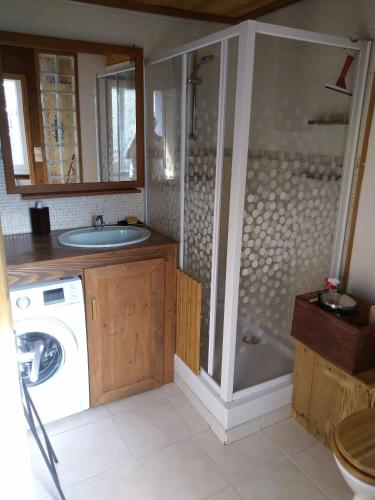 une salle de bain avec un lavabo et une machine à laver dans l'établissement Le Refuge des Trolls, à Sixt-Fer-à-Cheval