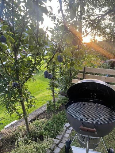a grill sitting in a garden with two trees at Bergpanorama in Bludenz