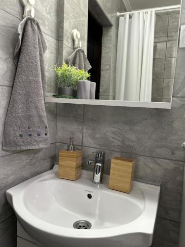 a bathroom with a white sink and a mirror at Kućica u pesku in Novi Vladimirovac