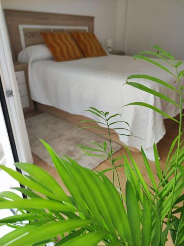 a bedroom with a bed and a green plant at APARTAMENTO BOLBORETA in Pontevedra