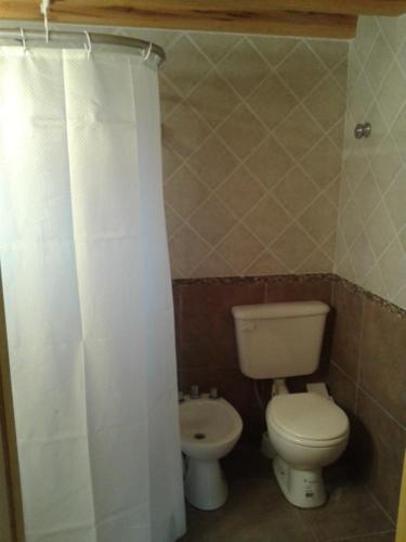 a bathroom with a toilet and a shower curtain at Cabañas Orillas del Chimehuín in Junín de los Andes