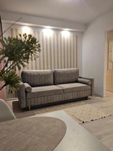 a living room with a couch in a room at Dworcowa przy basenie in Olsztyn