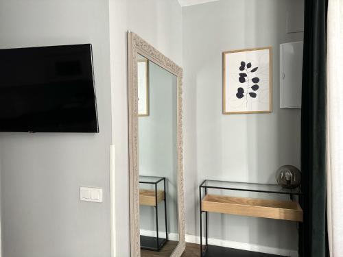 TV o dispositivi per l'intrattenimento presso PlazaMayorSuites